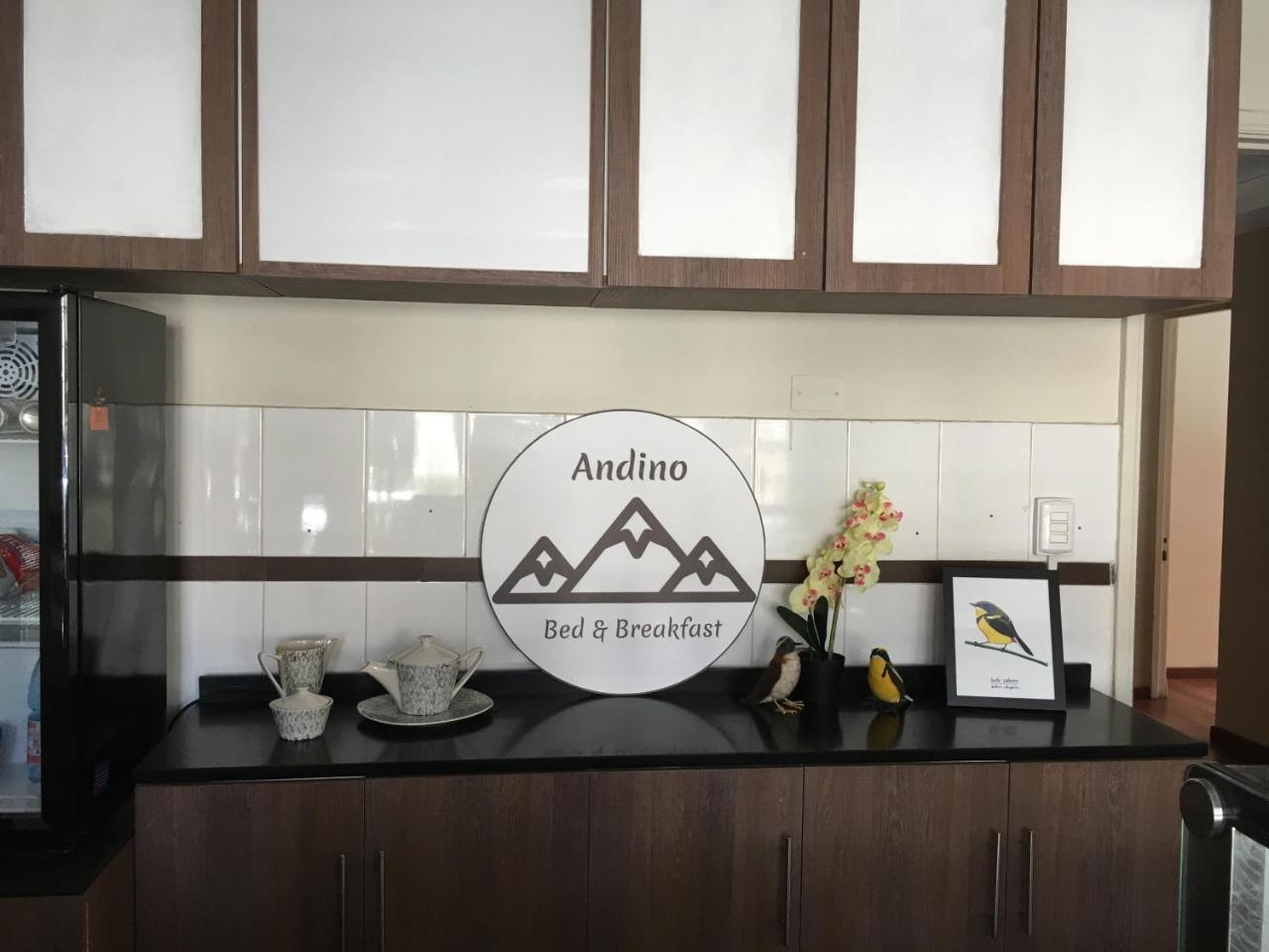 Andino Bed & Breakfast Santiago Dış mekan fotoğraf